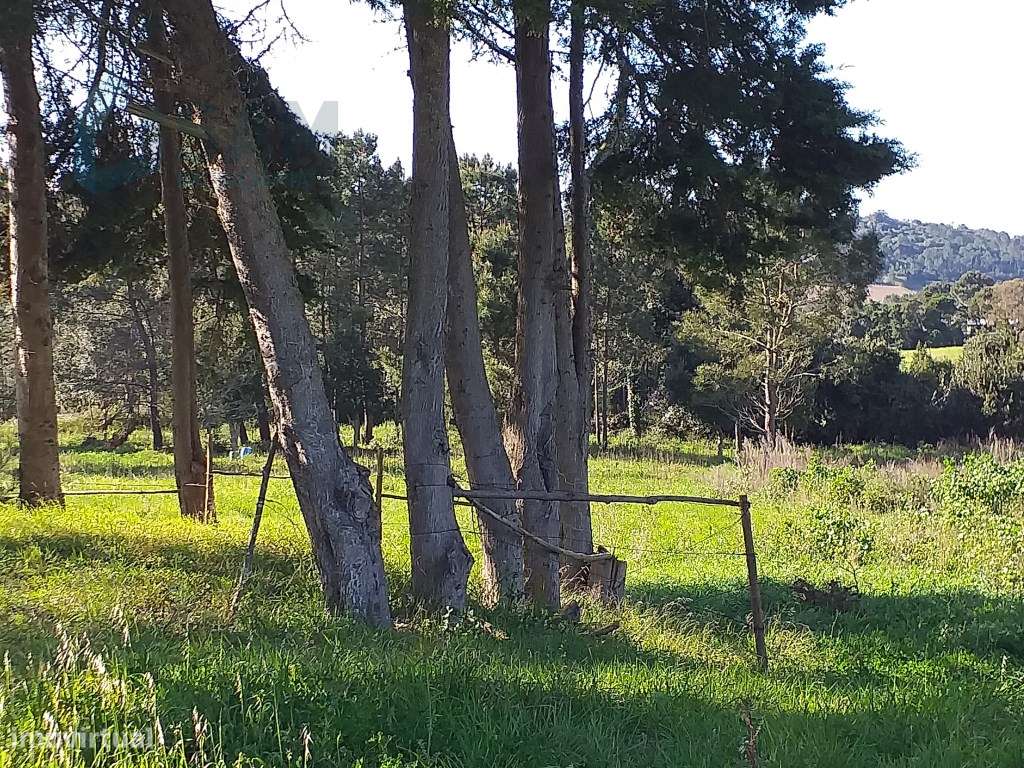 Moradia T6 em Óbidos!-49