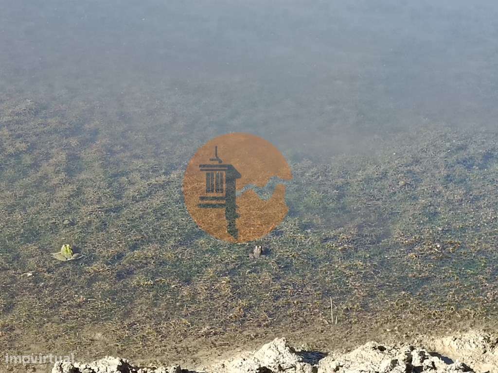 TERRENO COM 74.680 M2 - COM LAGO - POSSIBILIDADE DE CONSTRUÇÃO - TU... - Grande imagem: 3/40