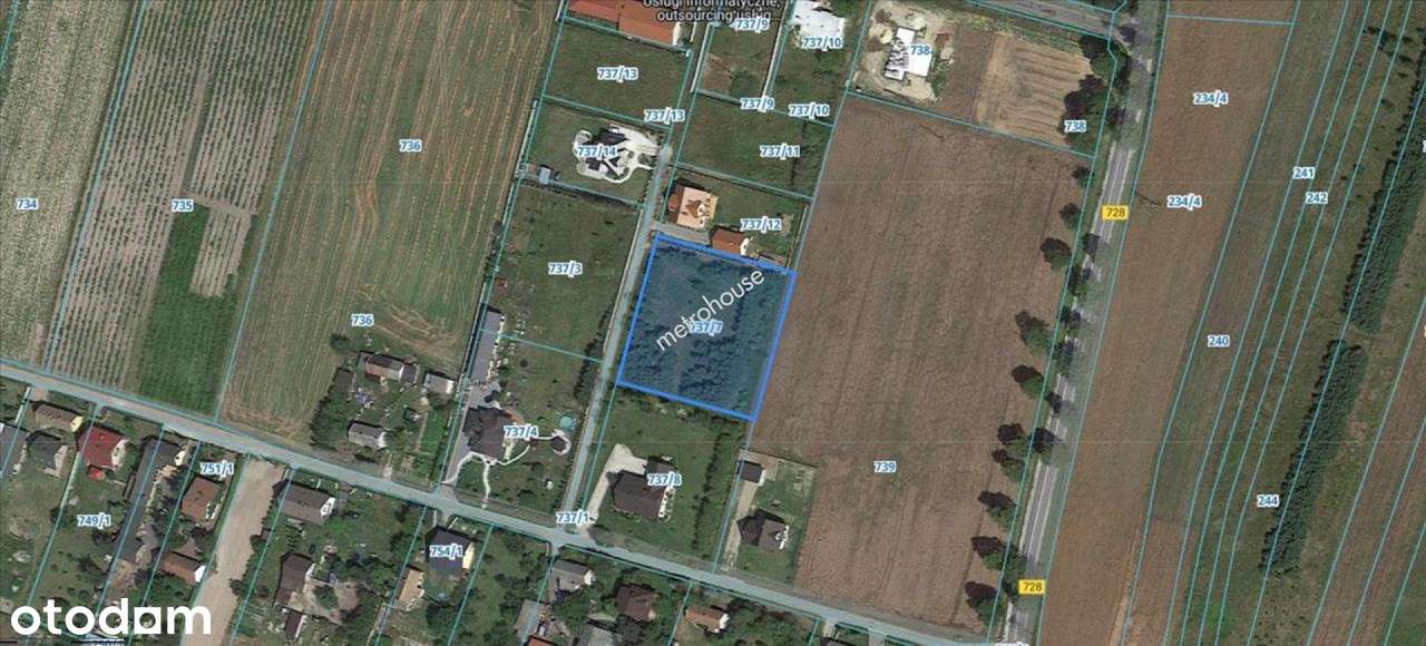 Unikatowa, zalesiona działka pod Jędrzejowem - WZ na dom jednorodzinny - Pełny obrazek: 4/4