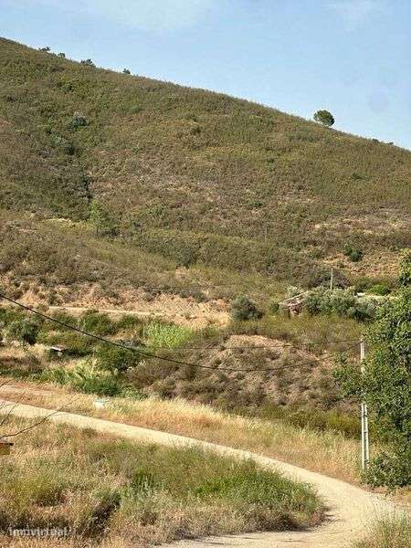 Ruina a 300m da Barragem do Arade - Grande imagem: 4/7