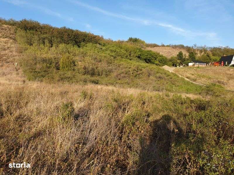 Teren de vanzare, 16 €/mp - Imagine principală: 5/6