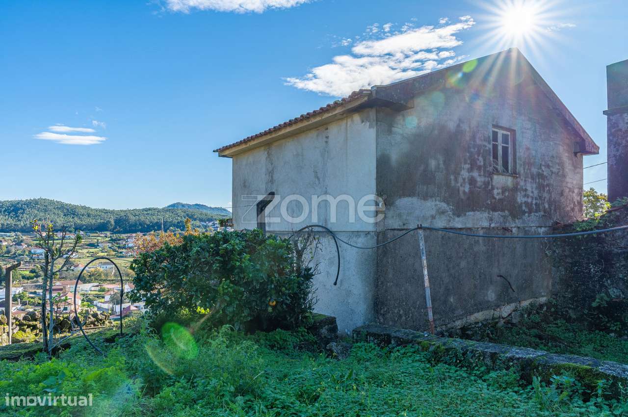 Moradia para restaurar em Perre - Grande imagem: 5/24