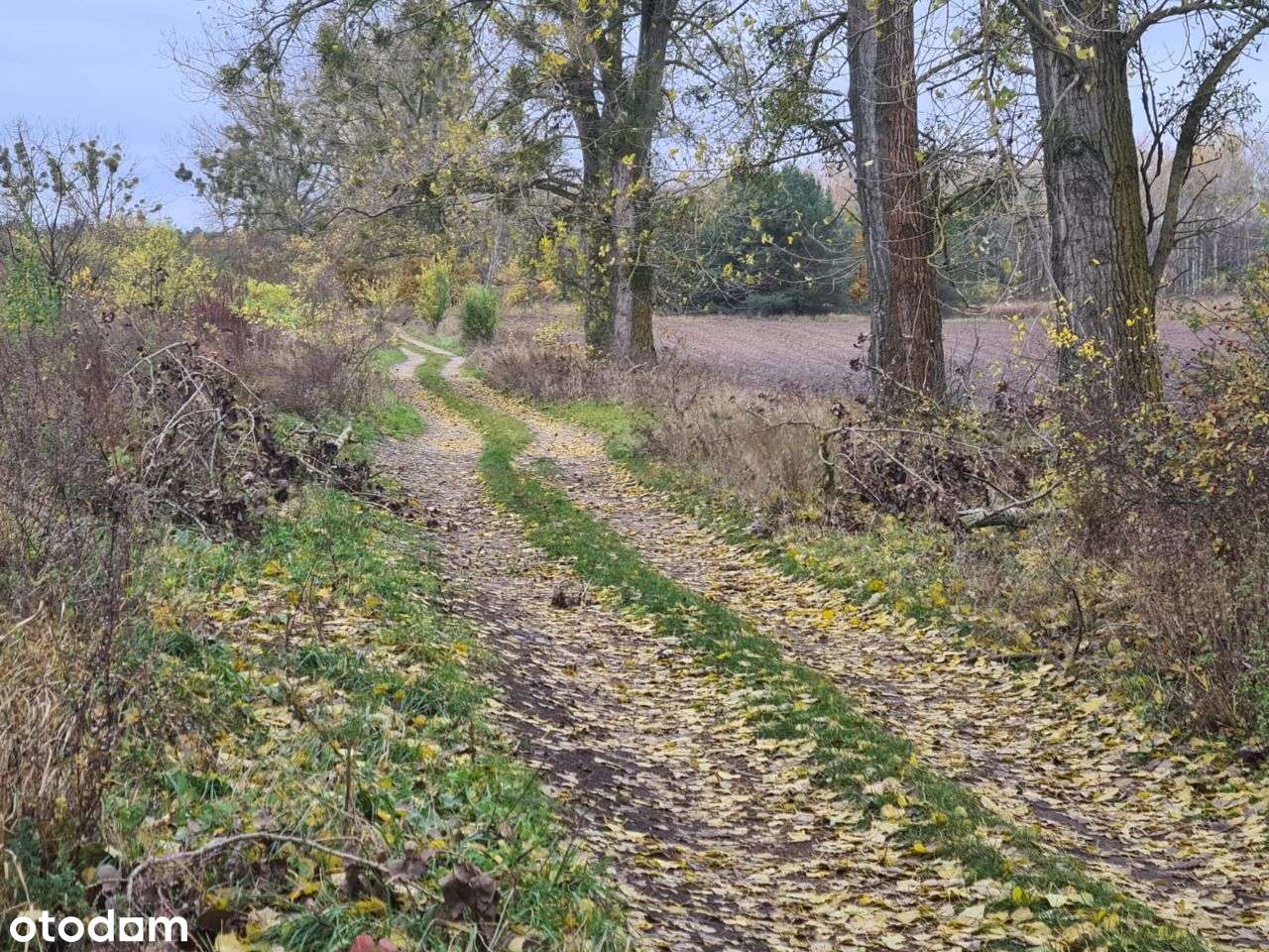 Działka budowlana nad jeziorem Będzin!-14