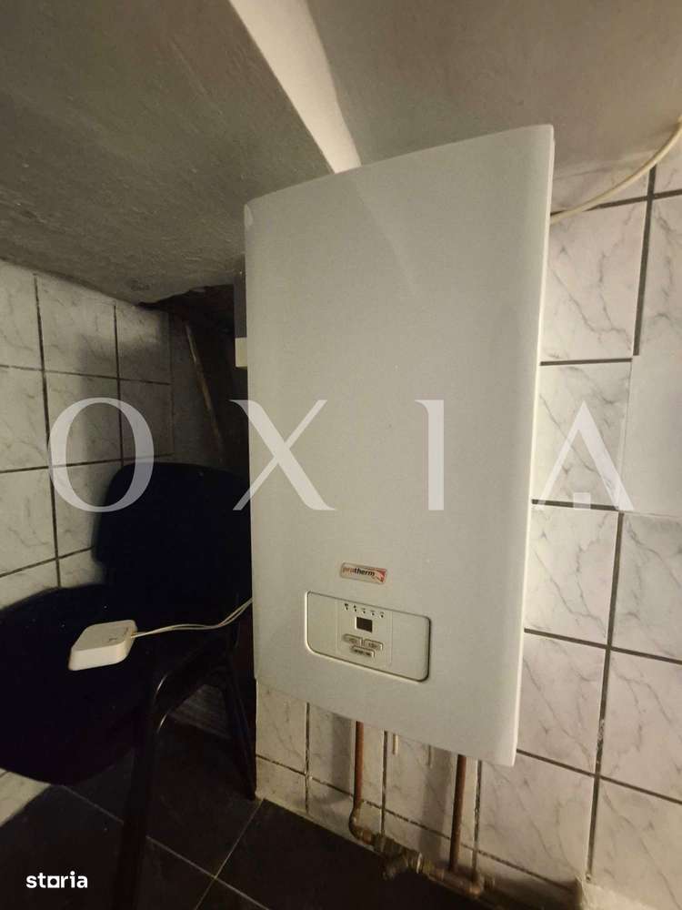 AX1243 Central, Spatiu Pentru Birouri, Ideal Pentru Investitie-9