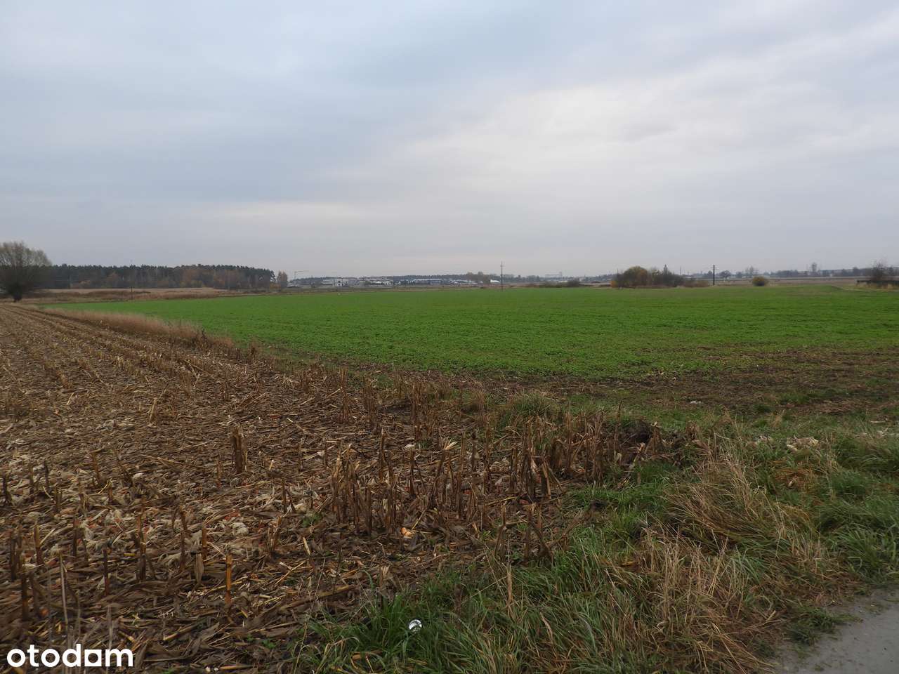 Działka 15 000 m² w Chojęcinie przy nowym osiedlu mieszkaniowym-19