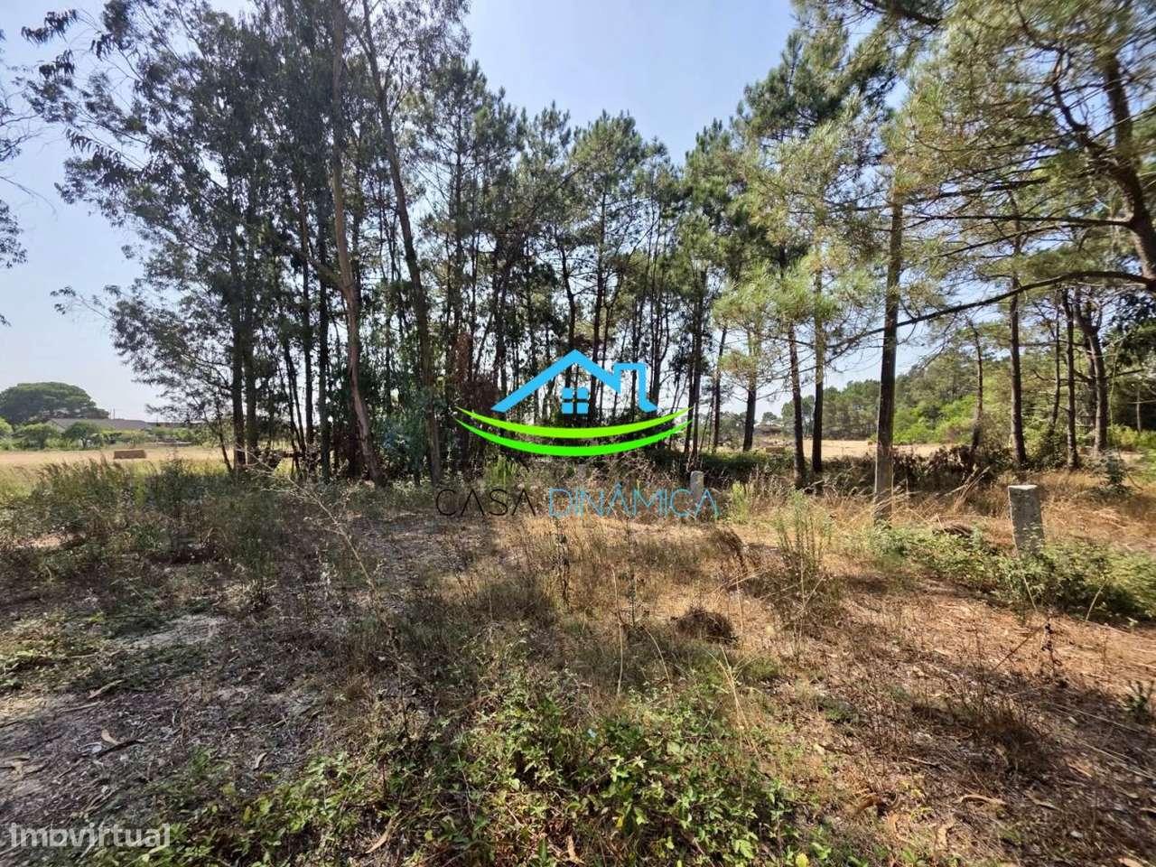 Terreno com 8.369 m² e possibilidade de construção – Arazede, Mon-43