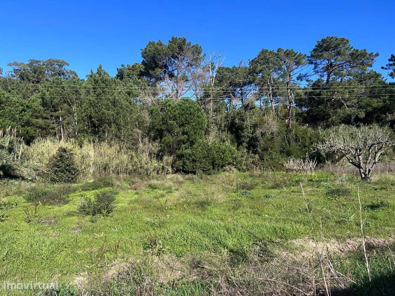 Oportunidade Única em Janas – Terreno Rústico de 4040 m2 - Grande imagem: 4/8