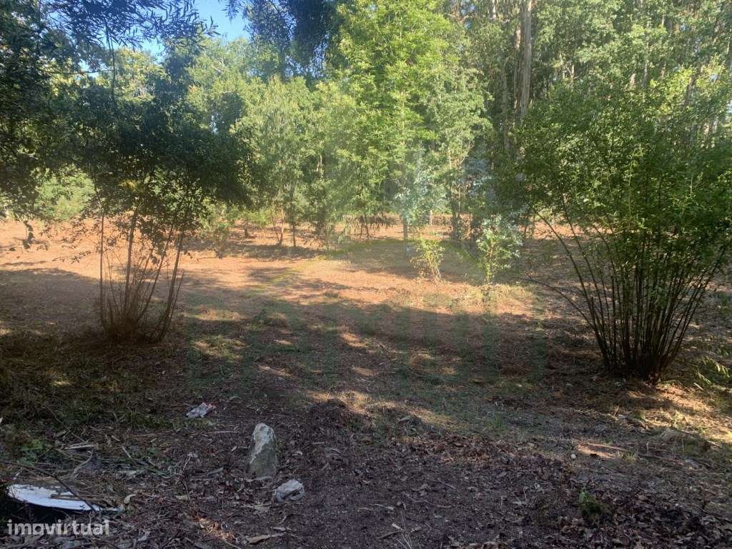 Terreno para construção - Grande imagem: 4/9