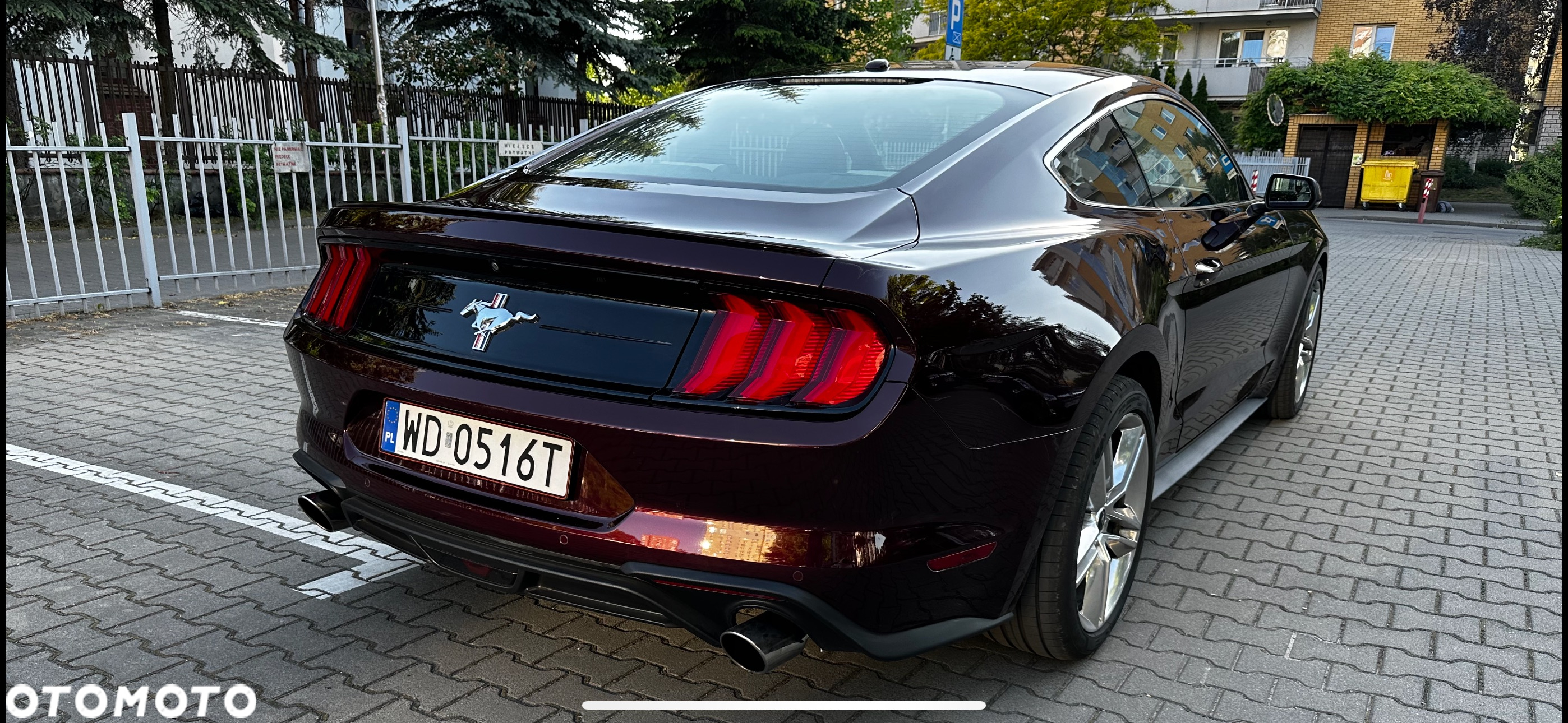 Ford Mustang 2.3 EcoBoost - 16