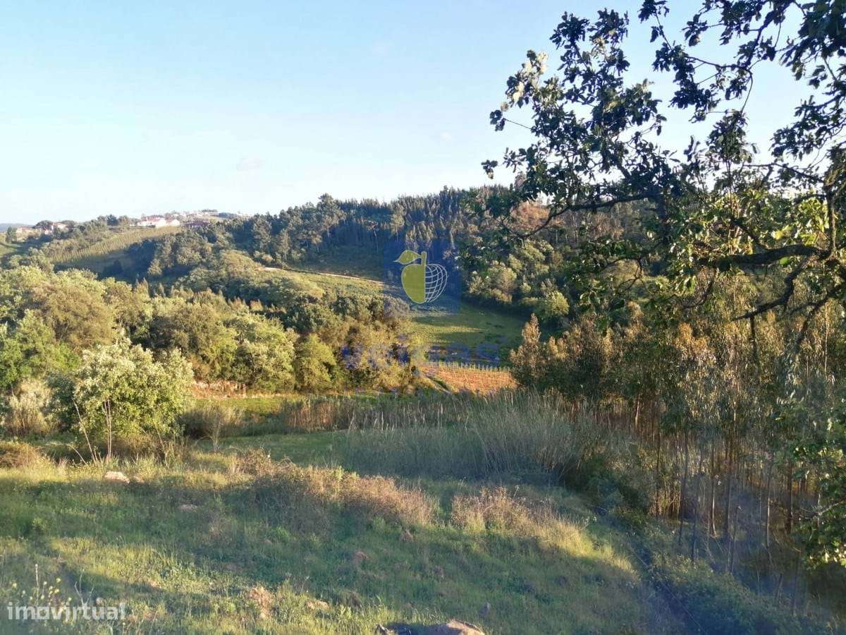 Terreno na Laranjeira de Alvorninha - Grande imagem: 5/6