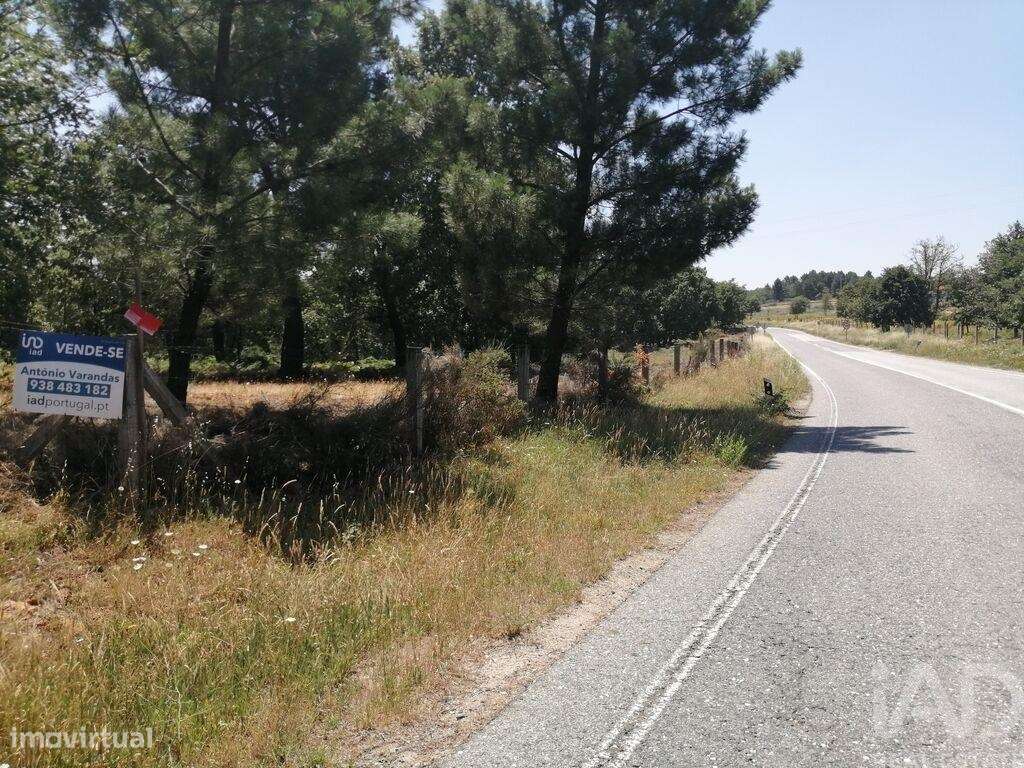 Terreno em Sabugal e Aldeia de Santo António de 56170,00 m2 - Grande imagem: 2/24