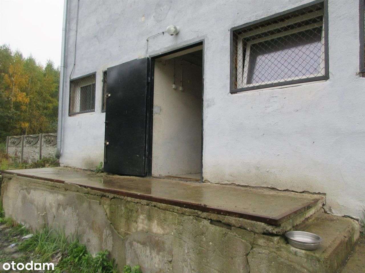 Magazyn w Chałupkach przy granicy Czeskiej - Pełny obrazek: 4/6