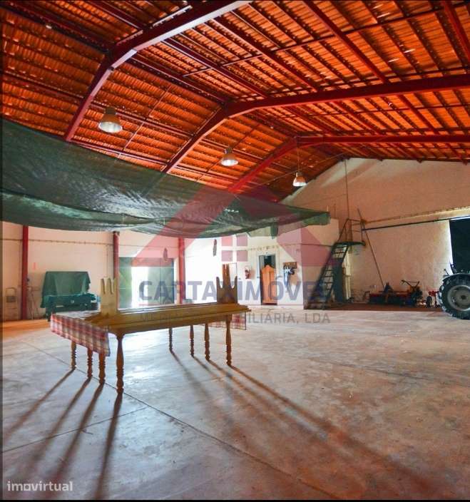 Moradia T4 Venda em Branca,Coruche-13