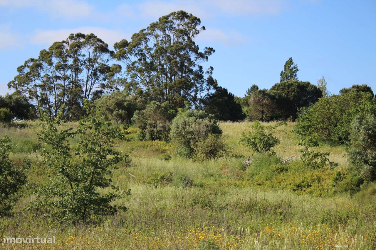 Oportunidade Única de Investimento em Terreno com Potencial Agrícola e-13