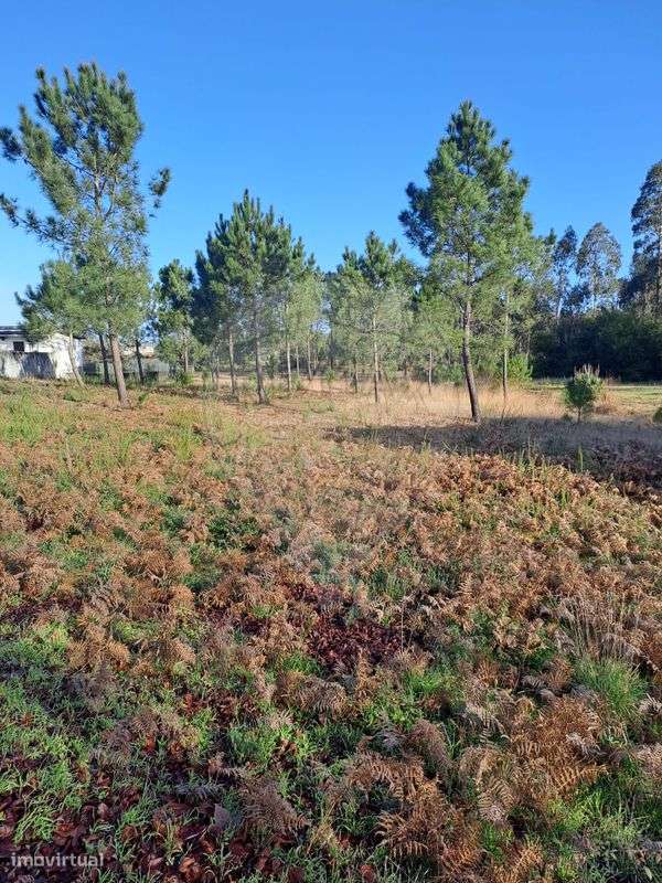 Terreno  para venda - Grande imagem: 5/10