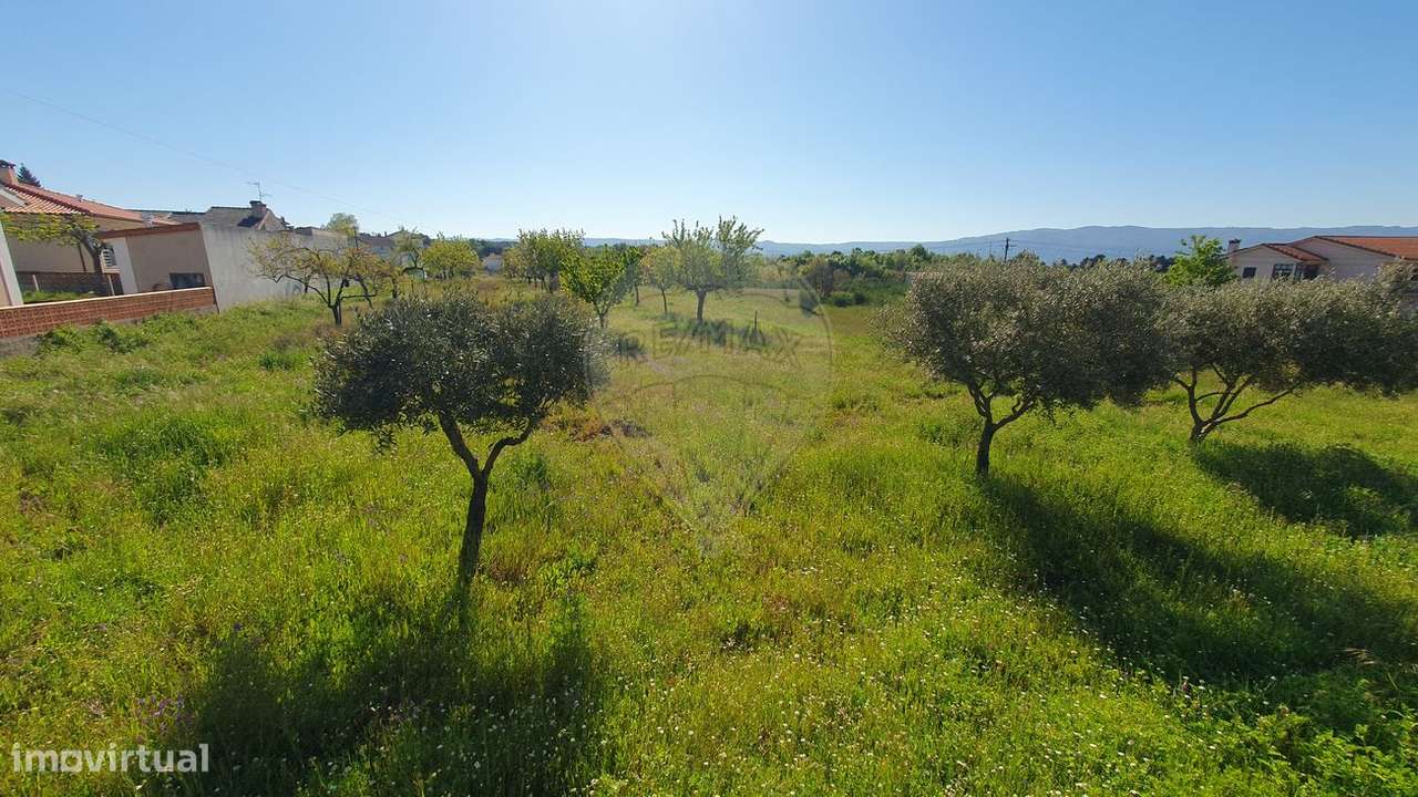 Terreno  para venda - Grande imagem: 4/11