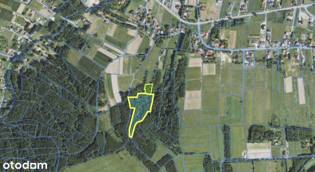 Zadrzewiona działka 1323 m2 + udziały | Hyżne-2