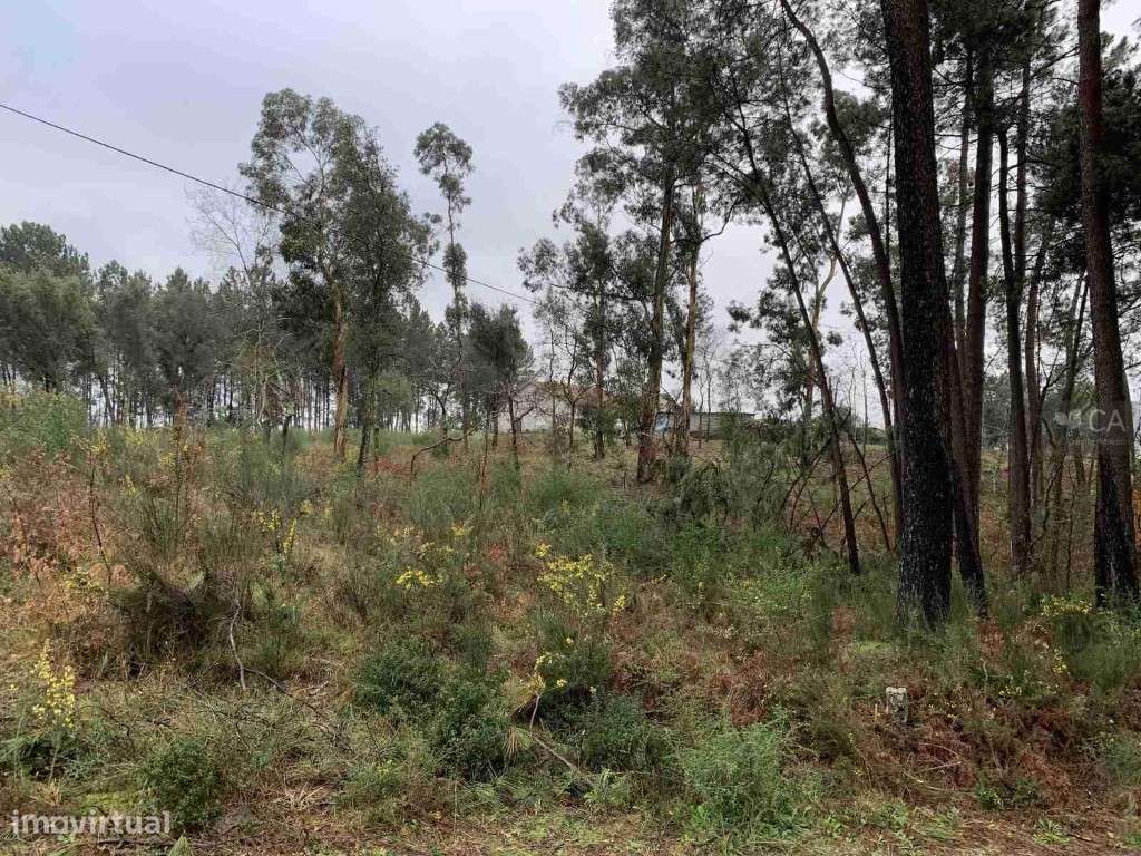 Terreno - Grande imagem: 3/3