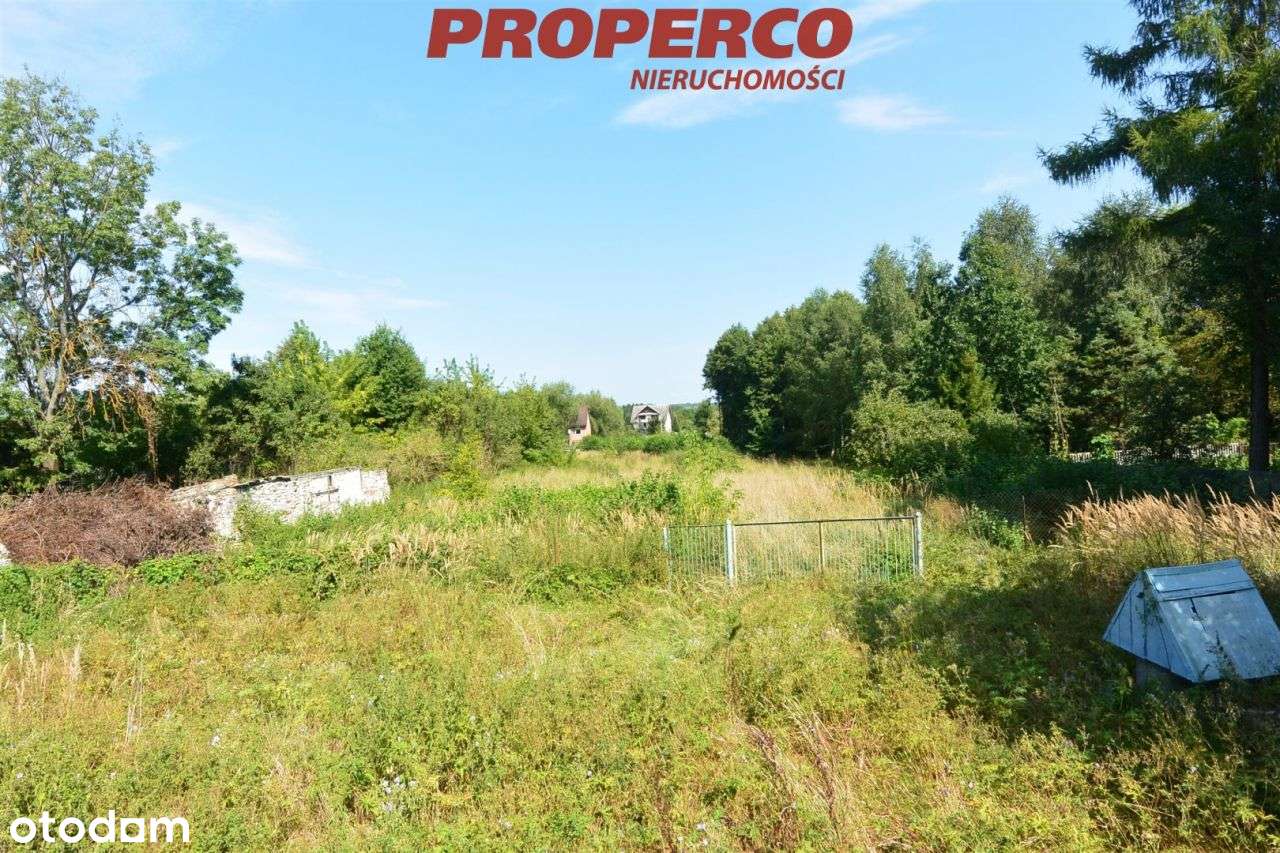 Działka 5800 m2, Wolica, gm. Chęciny - Pełny obrazek: 4/8