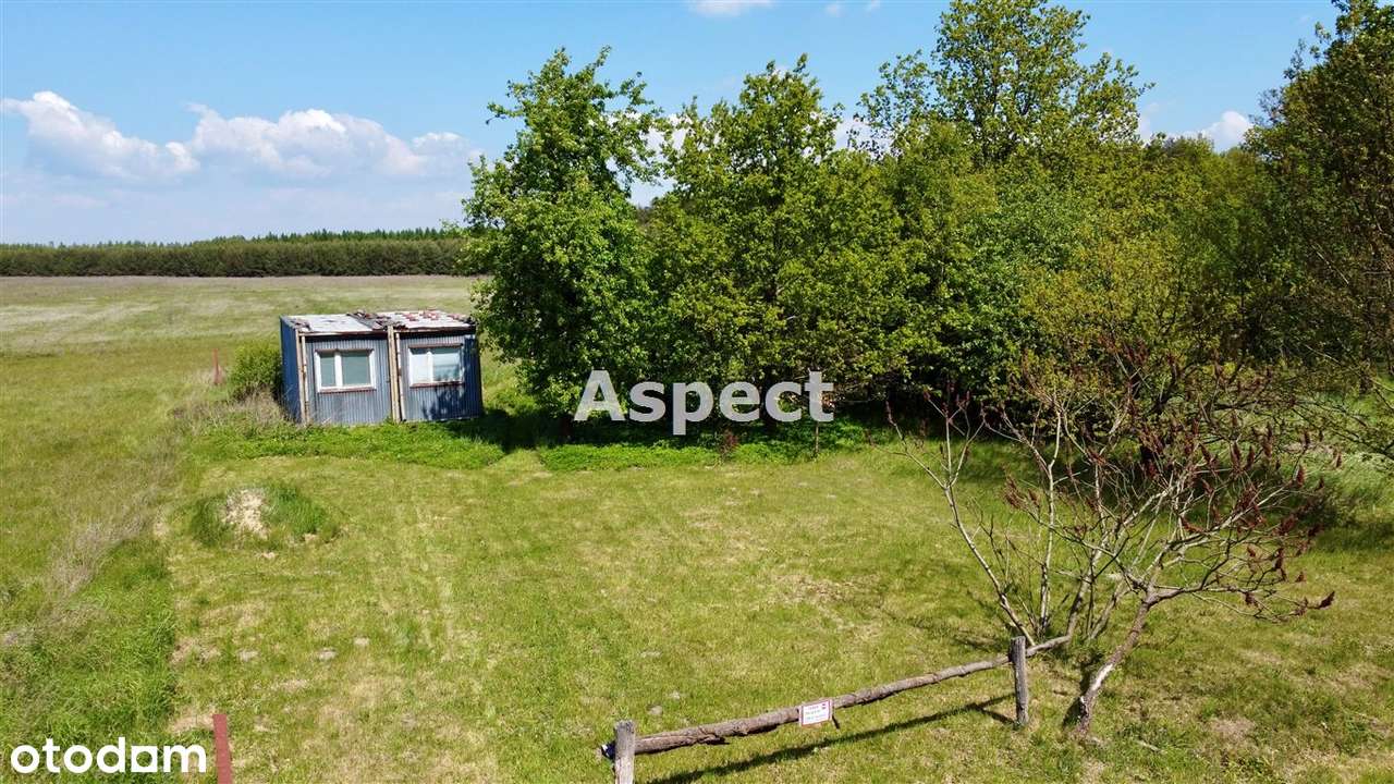 Działka położona tuż przy lesie - Pełny obrazek: 5/6