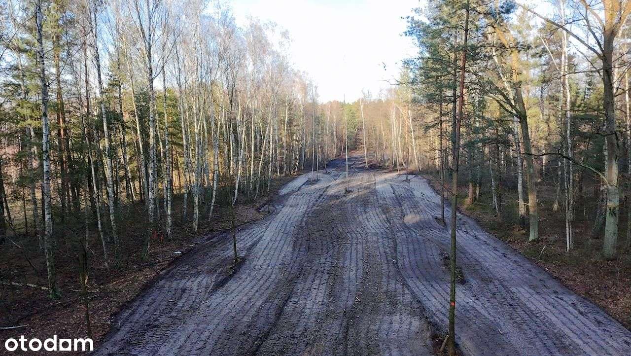 Działka, 5 000 m², Kąck - Pełny obrazek: 4/5