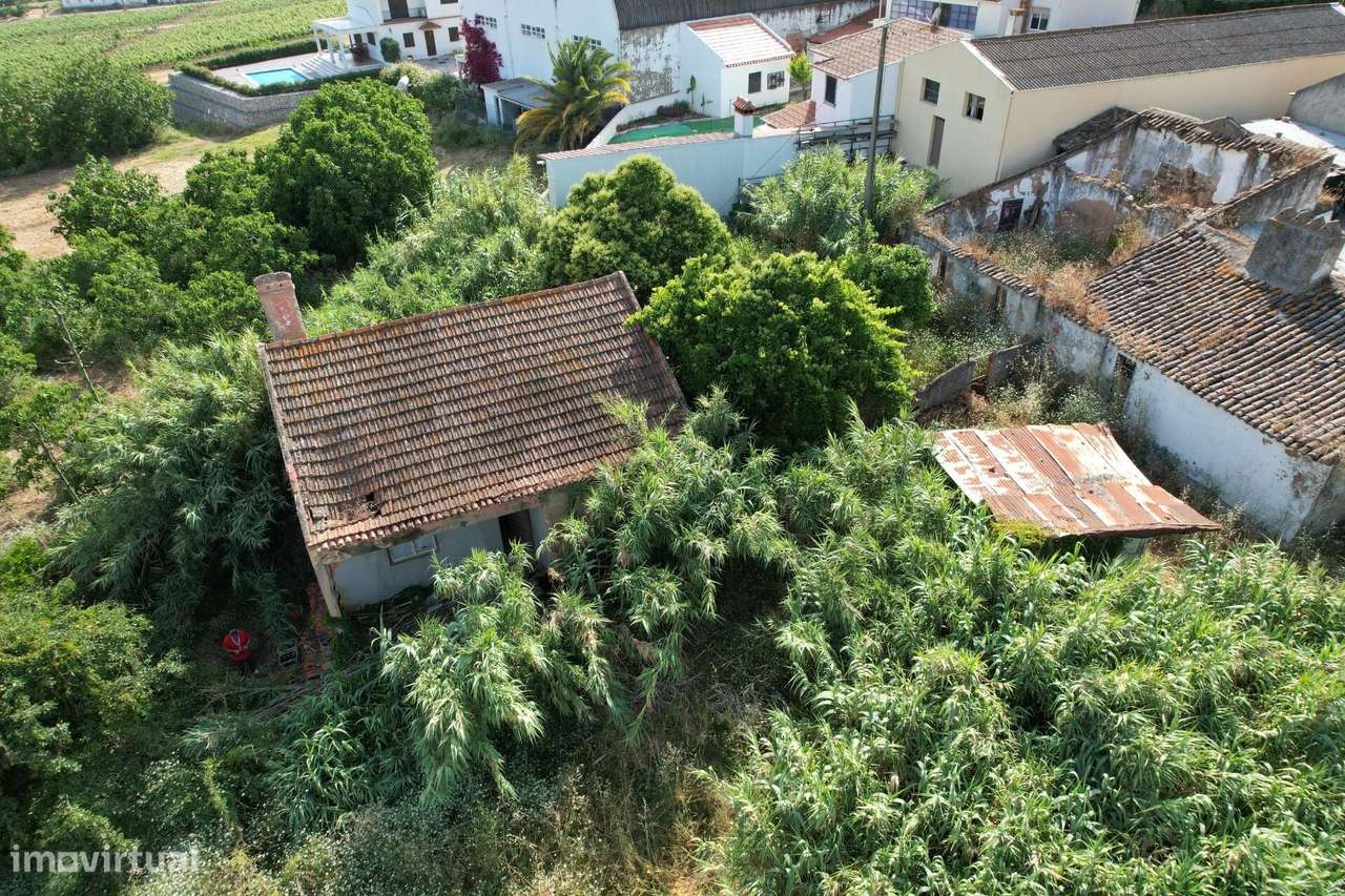 Quintinha com 760m2 + 2 moradias para recuperar I Carregado- Alenquer - Grande imagem: 5/26