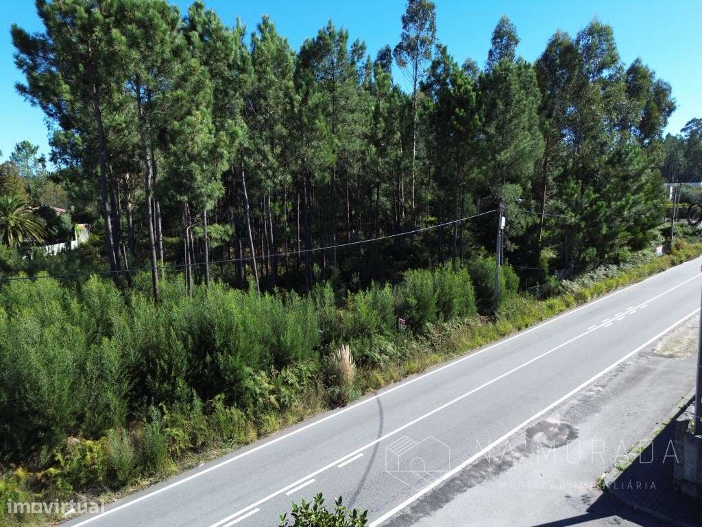 Terreno com cerca de 7700m2, bem localizado, no centro de Santa Mar...-4