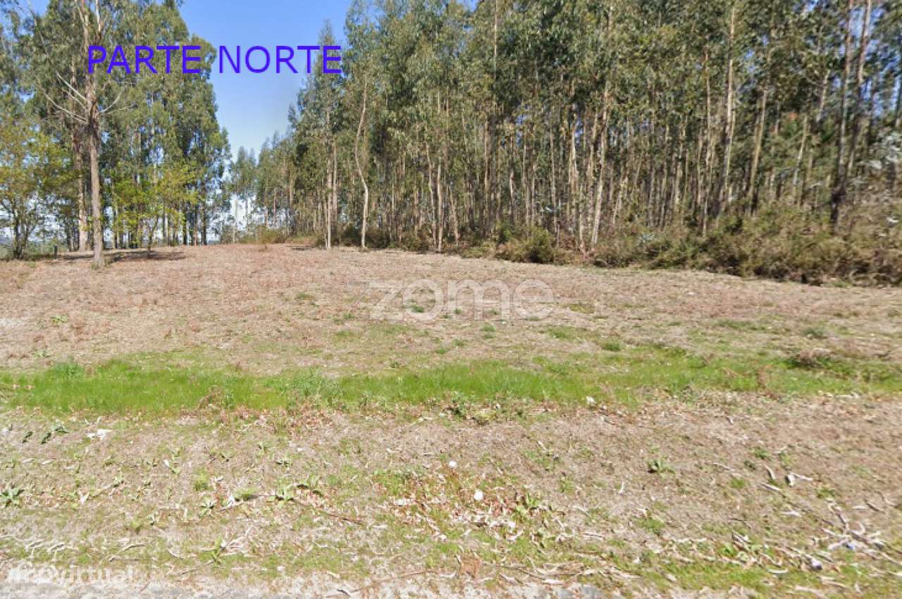 Terreno em Santa Luzia, Monte Córdova - Grande imagem: 2/10