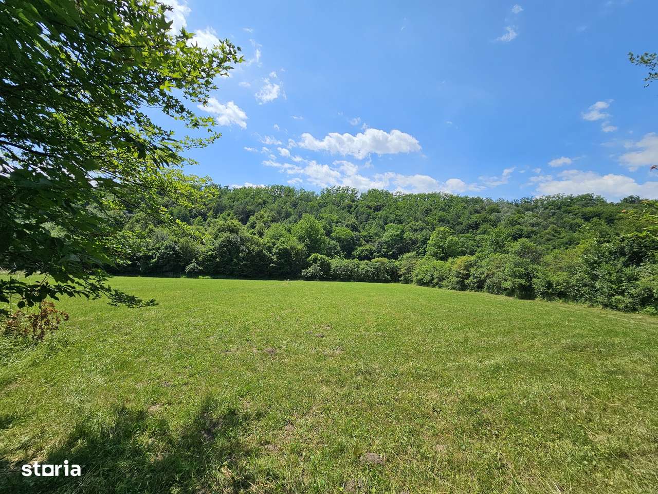 Teren superb de Vanzare in Darmanesti, Bacau - Imagine principală: 5/7