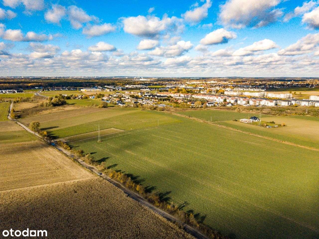 Zalasewo, ulica Spacerowa Nowy podział-8