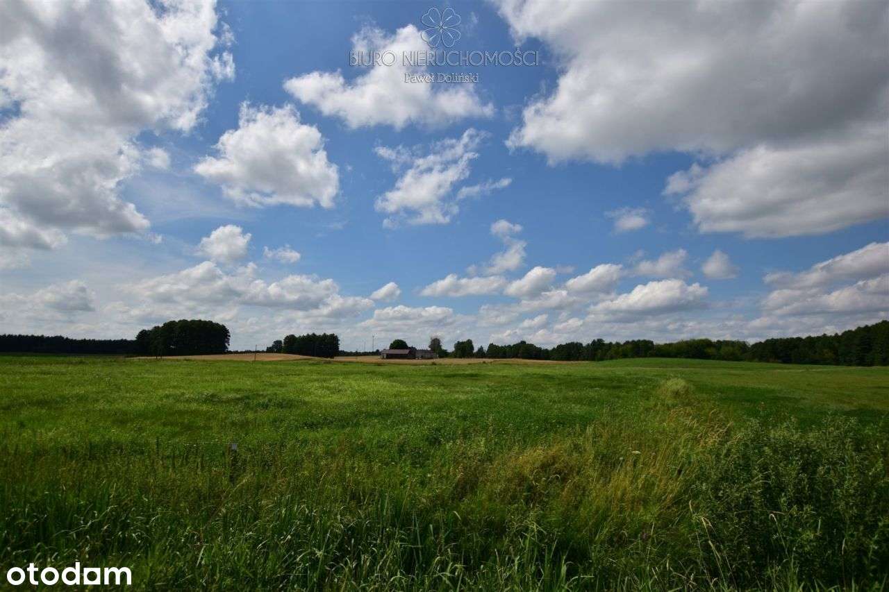 Działki 11095 m² koło Jeziora Dręstwo Nowa Cena!!! - Pełny obrazek: 5/7