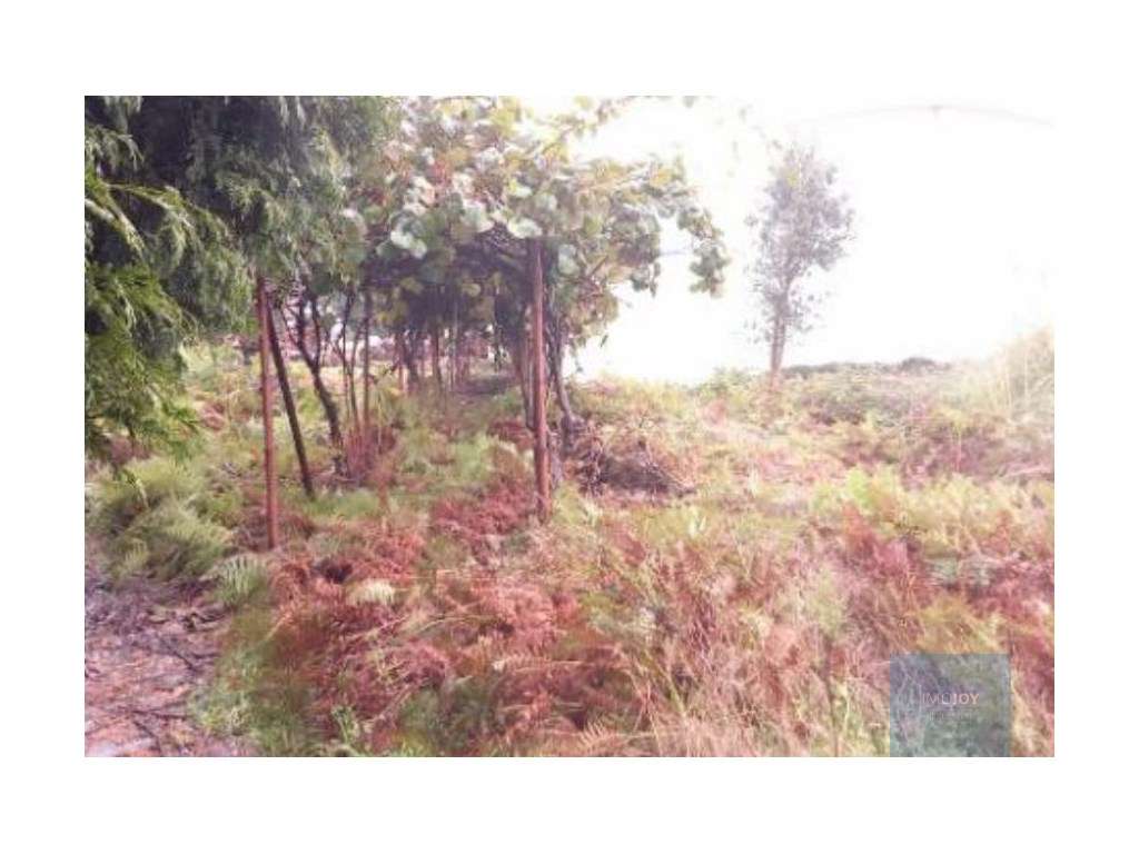 Armazém em Santa Maria da Feira-16