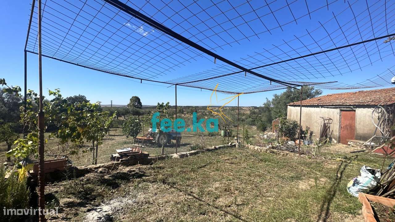 Quintinha em Monfortinho-5