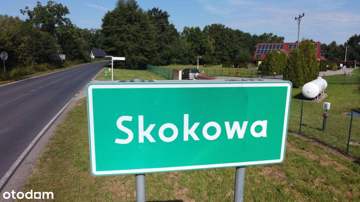 Działka z dużym potencjałem pośród starodrzewia - Pełny obrazek: 2/3