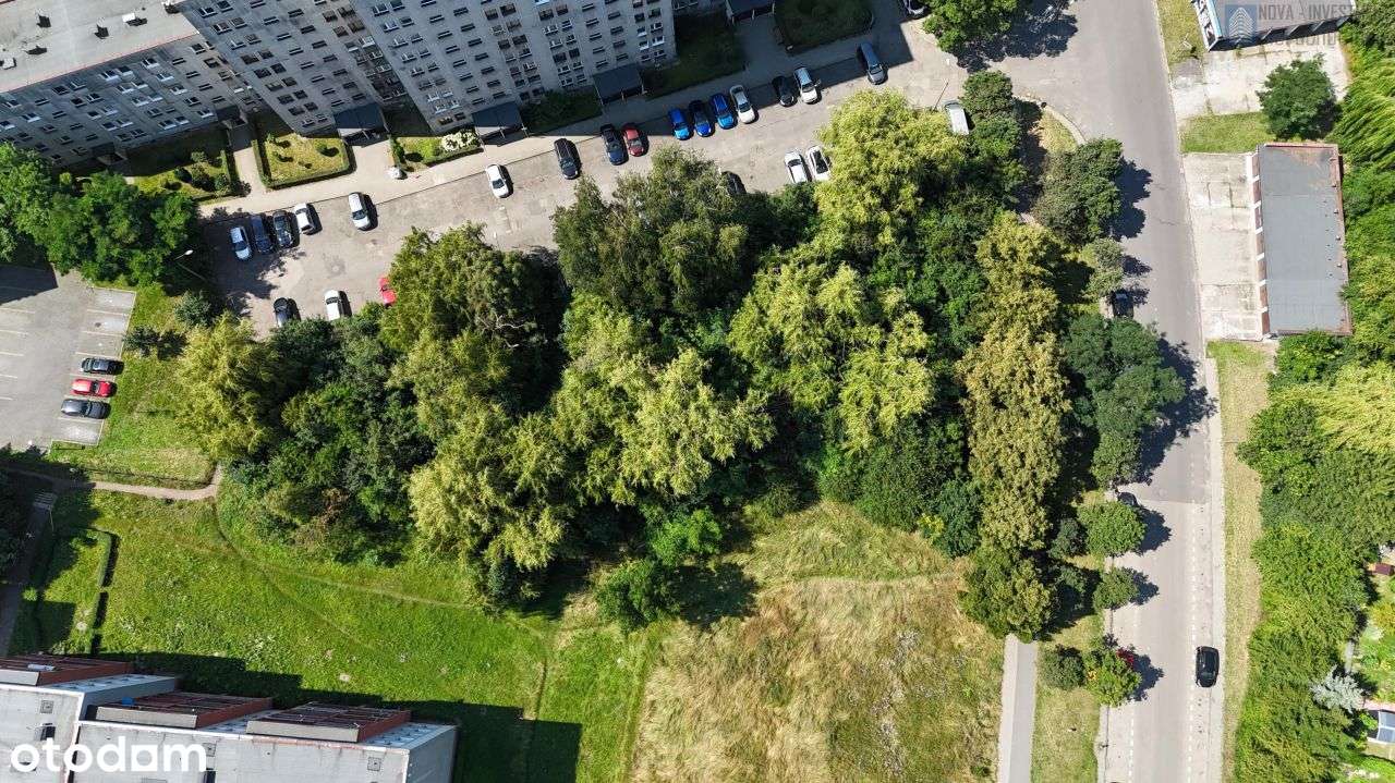 Pnb w centrum - 558 zł do m2 Pumu- 4837m2 Pumu-10