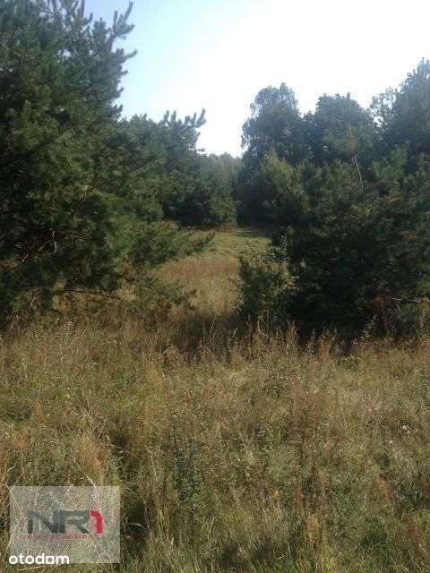 Działka przy drodze asfaltowej.-5