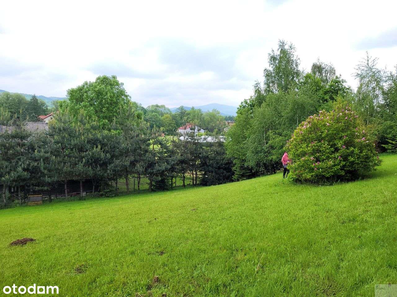 Działka, 3 500 m², Andrychów-3