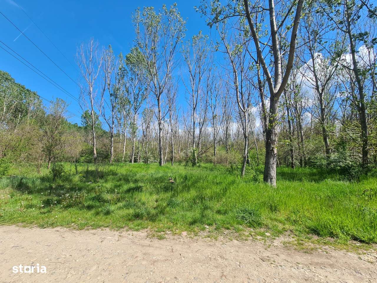 Teren de vanzare / Dem Radulescu-4