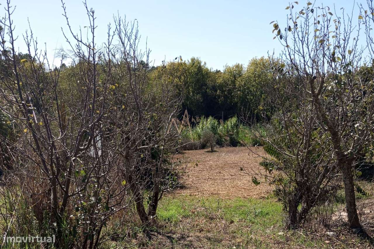 Terreno com 1.121m² na Serra dos Mangues, em São Martinho do Porto-2