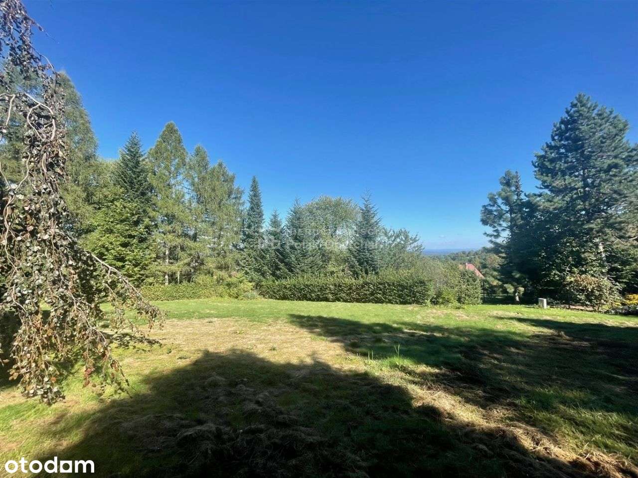 Pięknie, cicho, zielono-2