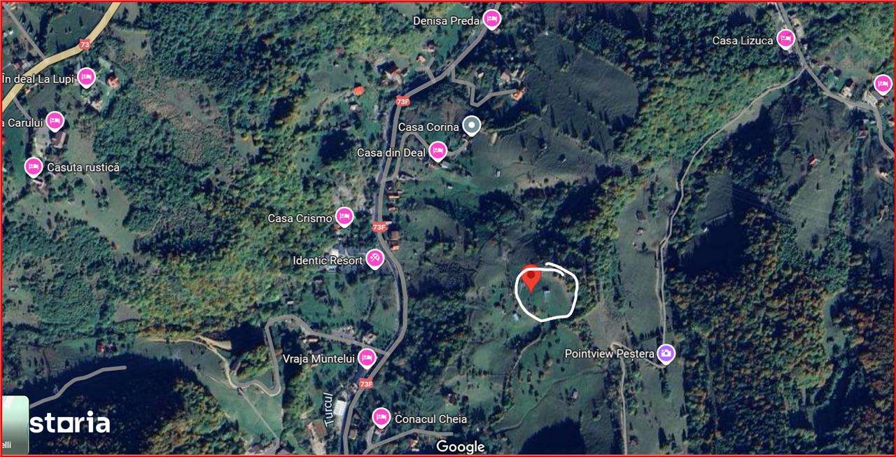 Teren, Zona de Interes Turistic-Cheile Gradistei,  8800mp - Imagine principală: 3/9