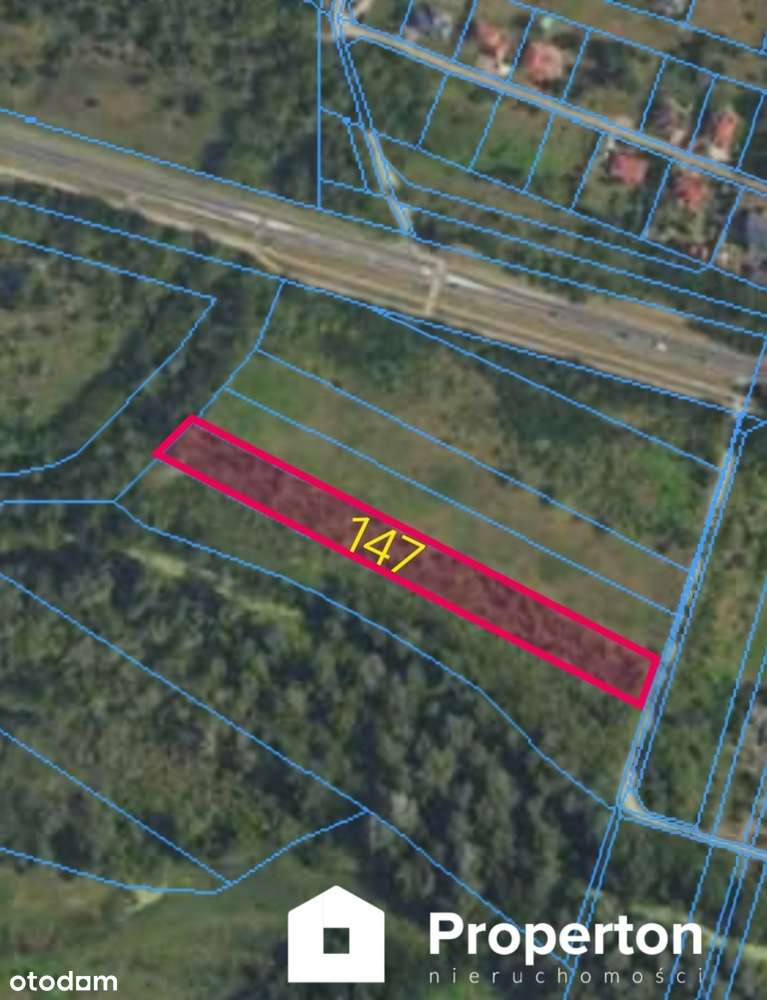 Udział 2/5 w działkach – Boża Wola, 14 403 m² - Pełny obrazek: 3/6