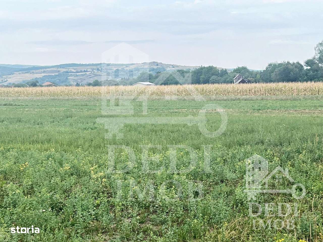 Teren extrvilan LUGASU DE JOS, Bihor - Imagine principală: 2/4