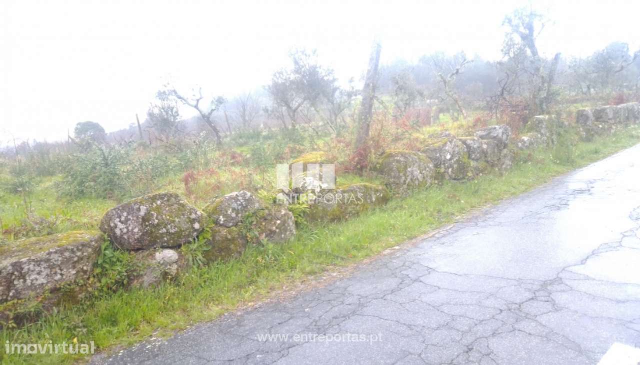Venda Terreno,Soalhães, Marco de Canaveses - Grande imagem: 4/39