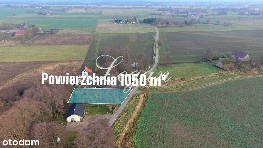 Działka w Zielonej Okolicy - Jasiniec - Bogdaniec. - Pełny obrazek: 4/6