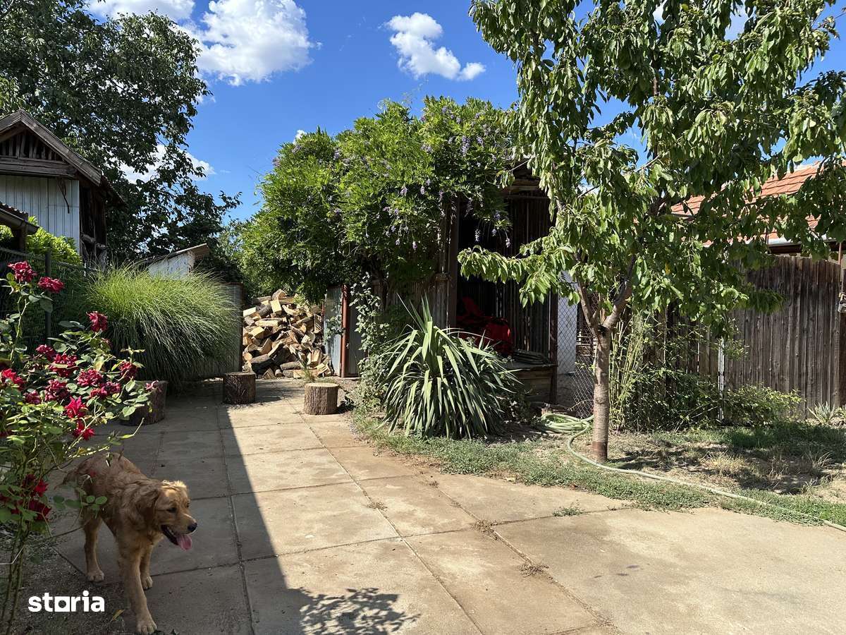 Vand casa in Tipar Judetul Arad - Imagine principală: 5/20