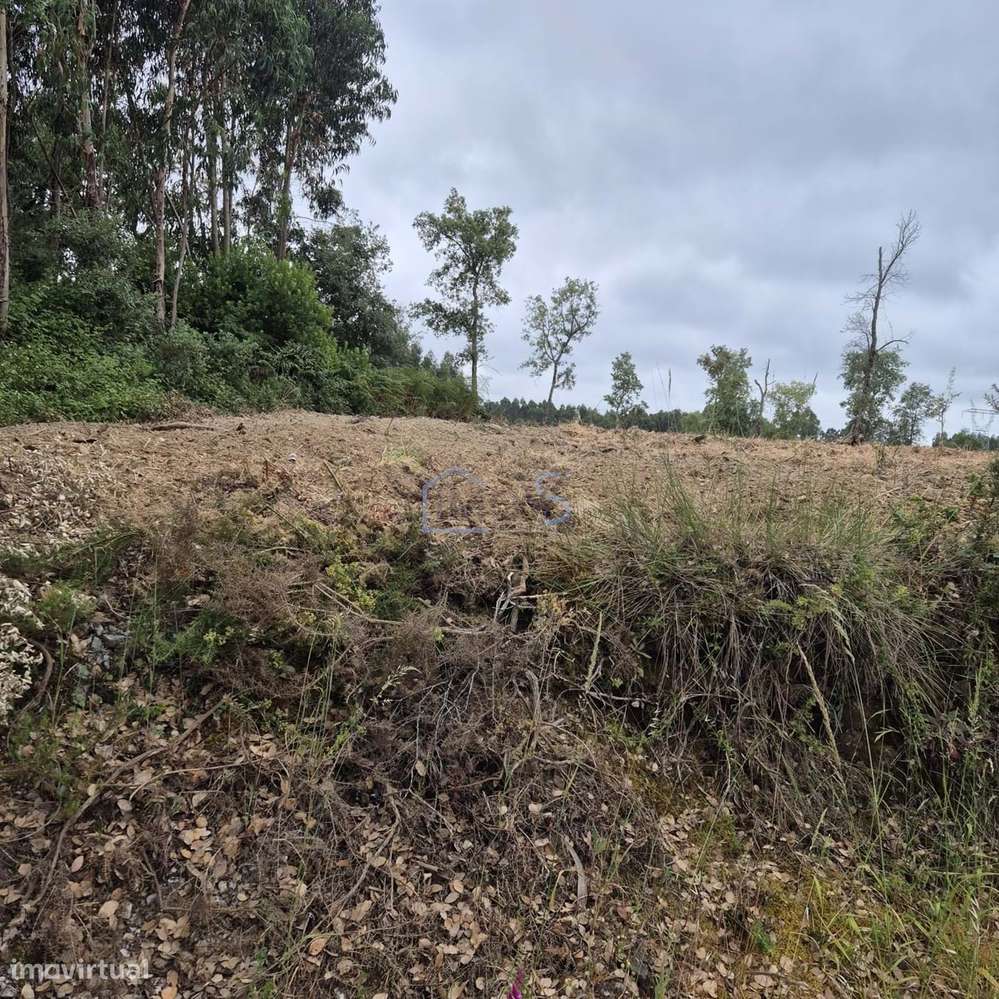 Terreno com 4.560 m² e Viabilidade de Construção – Casais, FZZ - Grande imagem: 5/20