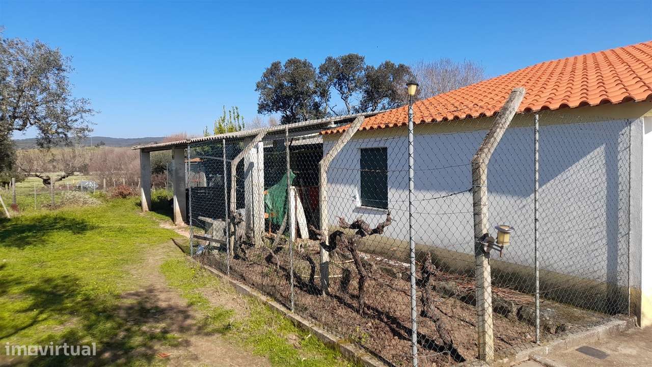 Quinta T0 Venda em Vila Velha de Ródão,Vila Velha de Rodão-16