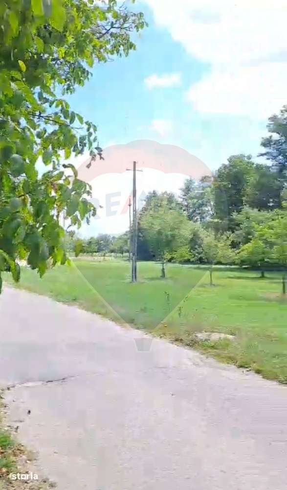 Casă langa parau-sat Brusturi, com. Halmagiu-8