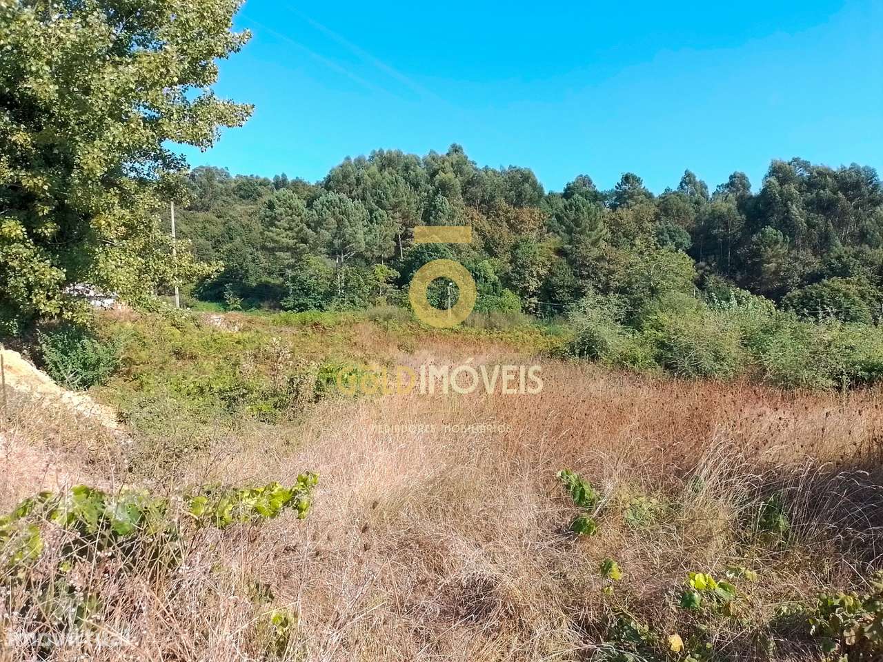 Terreno Para Construção  Venda em Souselo,Cinfães - Grande imagem: 2/11